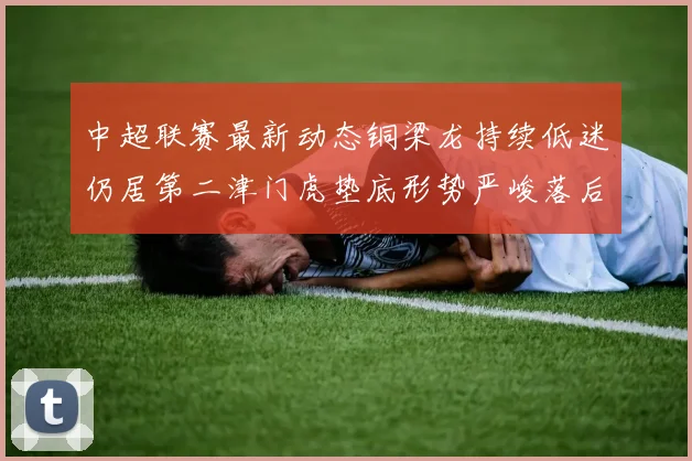 中超联赛最新动态铜梁龙持续低迷仍居第二津门虎垫底形势严峻落后安全区九分